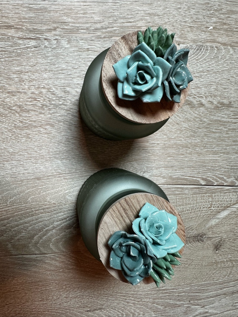 Home Accents Green Succulent Jar with Ceramic Flower Lid candle set of 2